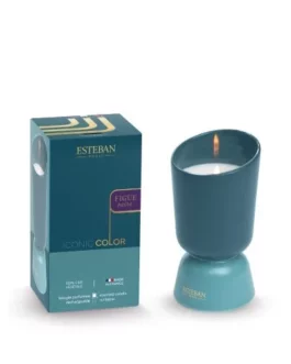 Bougie parfumée rechargeable 220g Figue noire