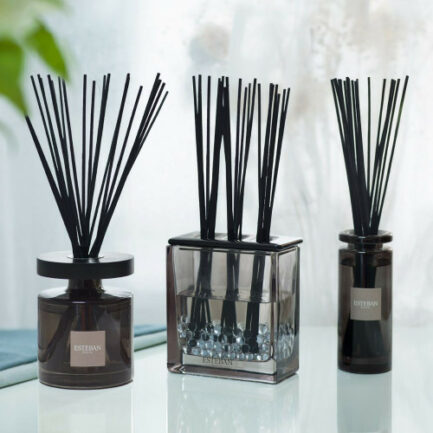 Bouquet parfumé Ellipse Esteban