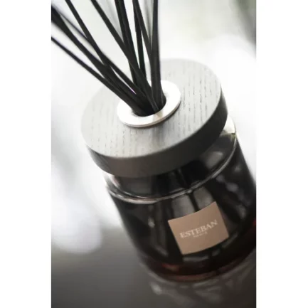 Bouquet parfumé Ellipse Esteban