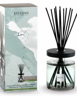Bouquet parfumé Ellipse 500ml classique Pur lin