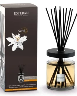 Bouquet parfumé Ellipse 500ml classique Neroli