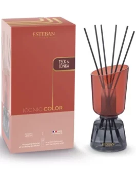 Bouquet parfumé rechargeable Iconic Color 250ml Teck & tonka