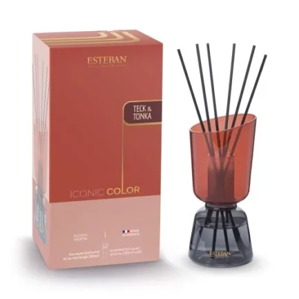 ICONIC COLOR Bouquet parfumé rechargeable 250ml Teck & Tonka