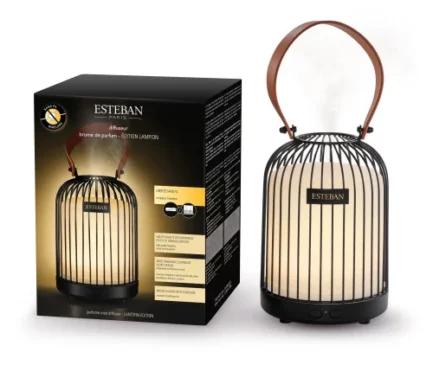 diffuseur-brume-de-parfum