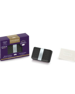 Diffuseur de voiture rechargeable Figue noire