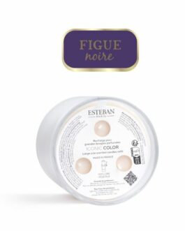 Recharge bougie parfumée 400g Iconic Color Figue noire